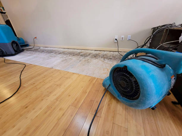 Professional Water Extraction technician working in Waves, NC
